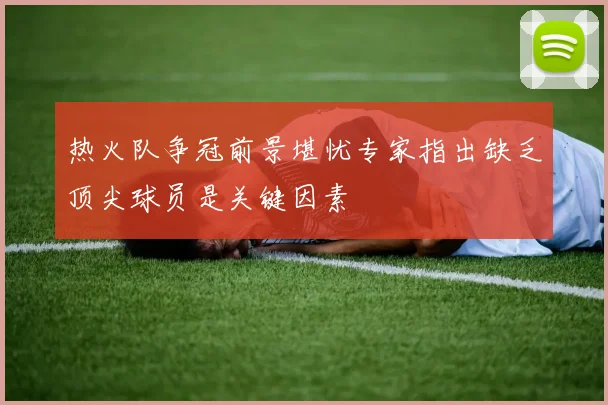 热火队争冠前景堪忧专家指出缺乏顶尖球员是关键因素